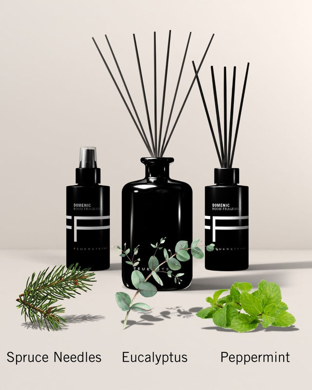 Raumspray Domenic 100ml