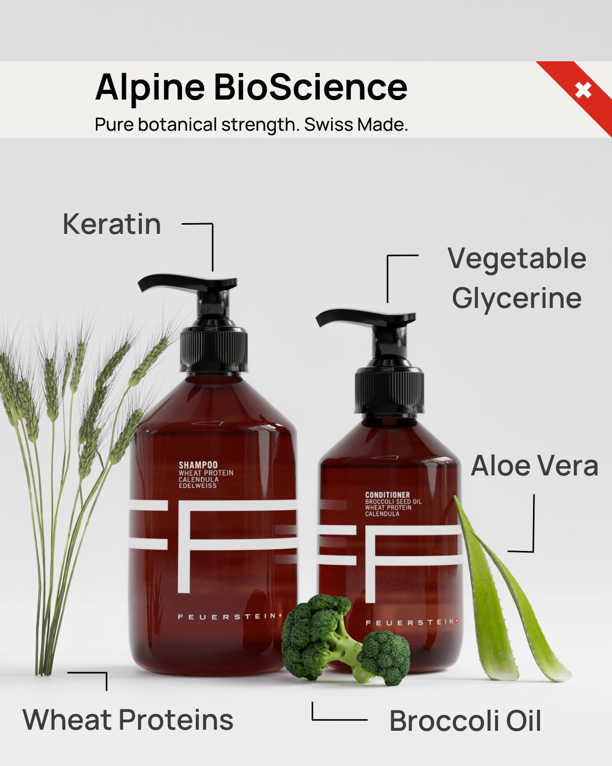 Hair Care Duet - Shampoo 500ml & Conditioner 250ml