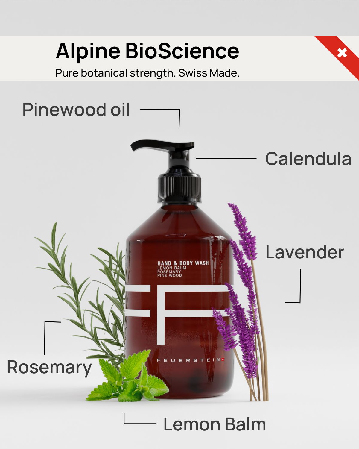 Hand & Body Wash - Handseife