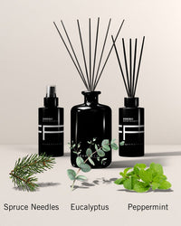 Raumspray Domenic 100ml
