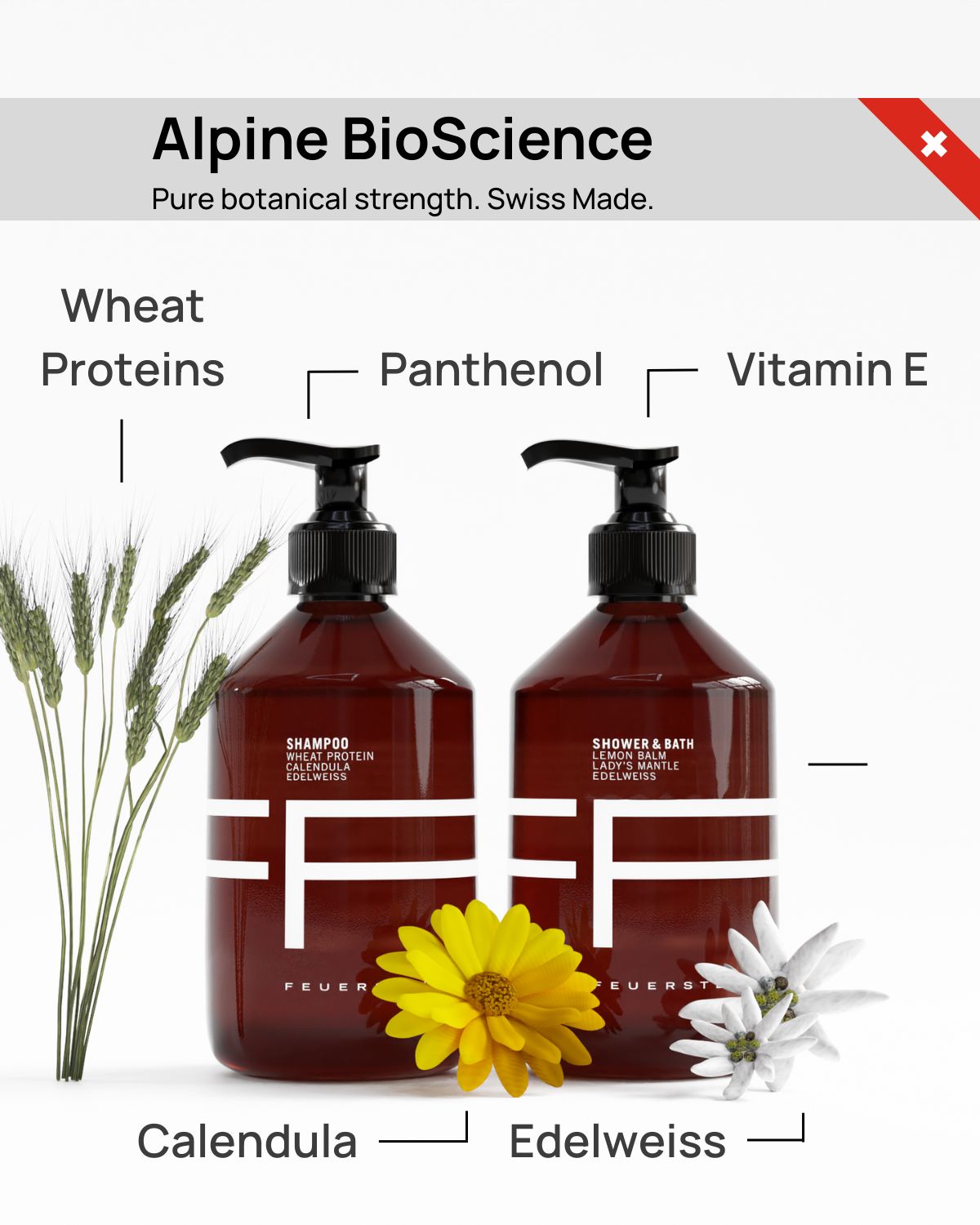 Shampoo & Shower Duet - Shampoo 500ml & Duschgel 500ml