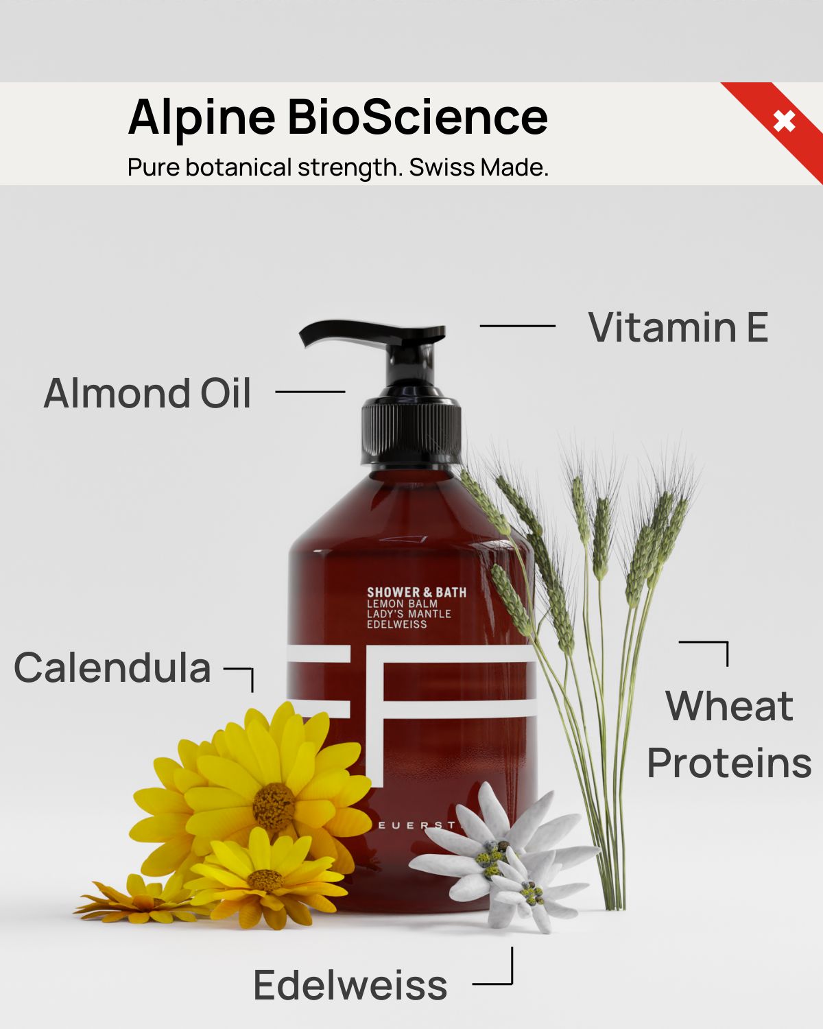 Shower & Bath - Duschgel