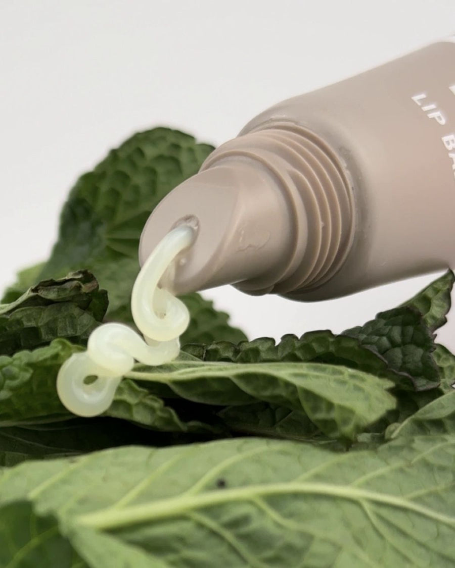 Lip Balm 10ml